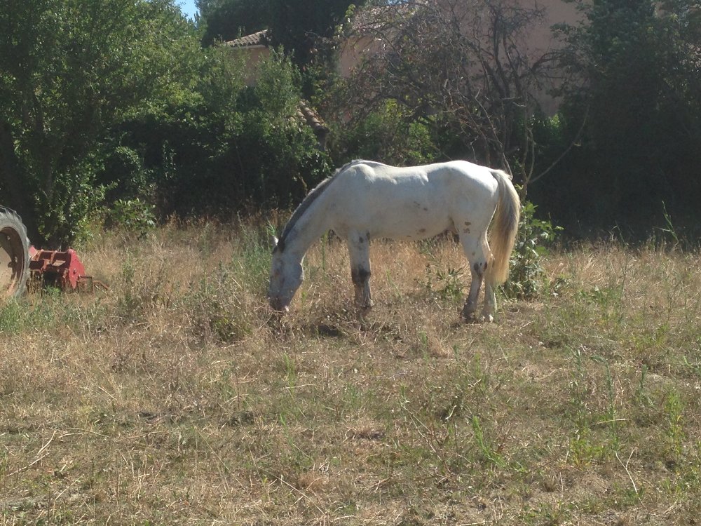 Aire camping-car  Avignon (84000) - Photo 1